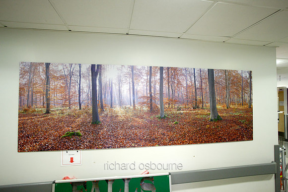 UHSM Wythenshawe Hospital - Panoramic Diptych PhotoPanel, 2700 x 900mm