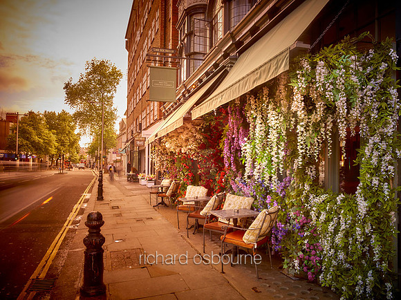 Dove House Green and The Ivy, Chelsea for Property Developer