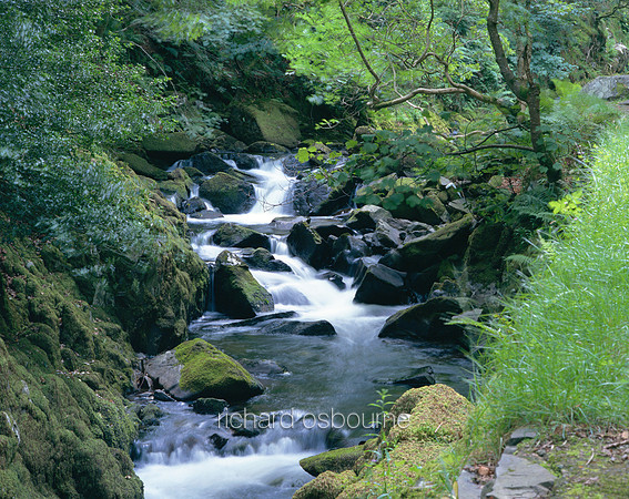 L1L12 Mountain Stream, Snowdonia