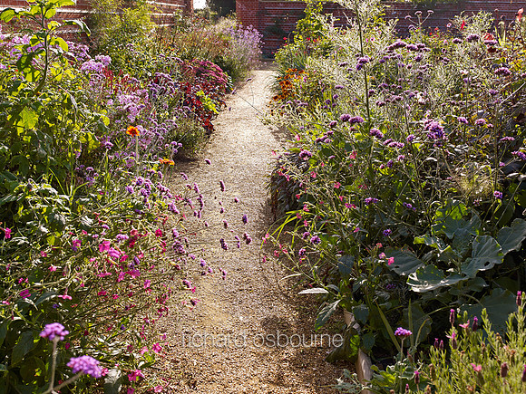 V7G13  East Ruston Old Vicarage Garden, Norfolk, UK