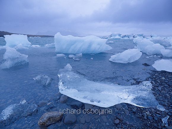 V6L49  Cold Fish, Jökulsárlón, Iceland