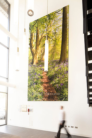 PhotoFab Tension Fabric Wall in Broadland Business Park, Norwich