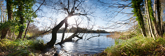 P2W1 South Walsham Broad