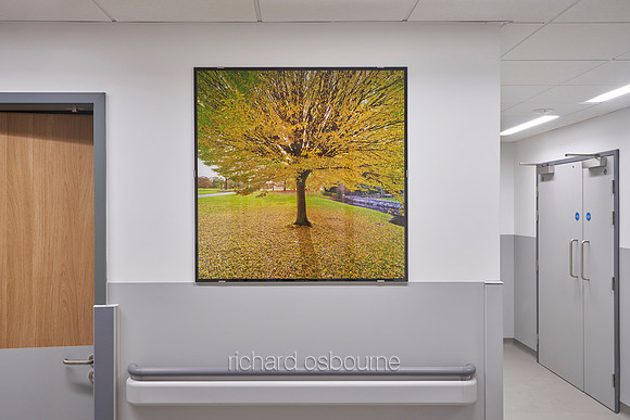 New Emergency Department, Wythenshawe Hospital, Manchester
