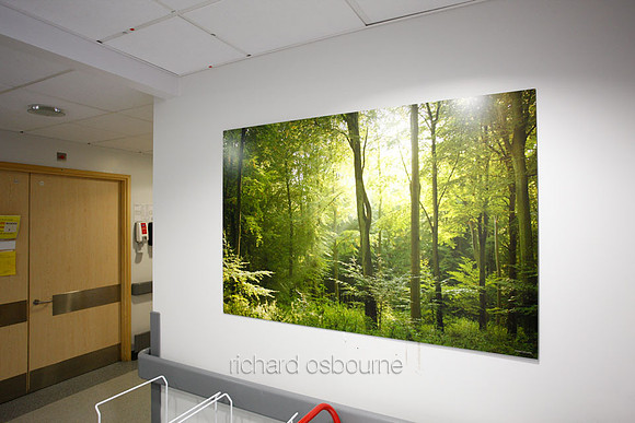 UHSM Wythenshawe Hospital - PhotoPanel, 1350 x 900mm