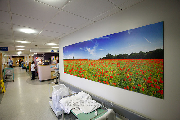 UHSM Wythenshawe Hospital - Panoramic Diptych PhotoPanel, 2700 x 900mm