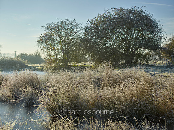 NWT New Buckenham Common, Norfolk, UK