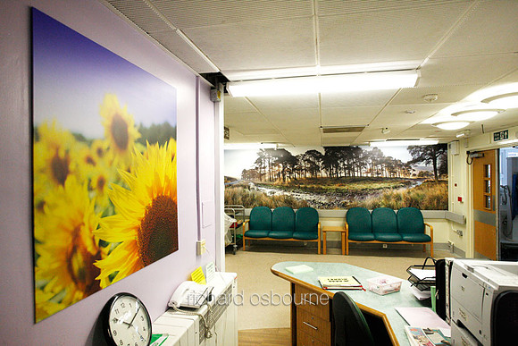 UHSM Wythenshawe Hospital - PhotoPanel, 900 x 900mm and PhotoWall Laminated Wallpaper, 5m x 1.5m