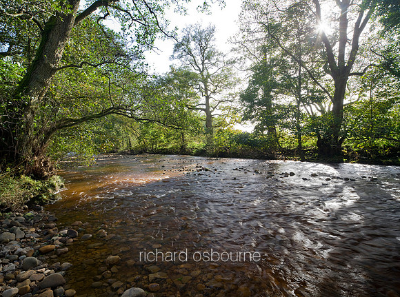 V5L18  Marshaw Wyre, Abbeystead, Forest of Bowland, Lancashire, UK