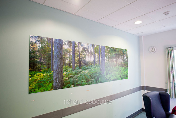 UHSM Wythenshawe Hospital - Panoramic Diptych PhotoPanel, 2700 x 900mm