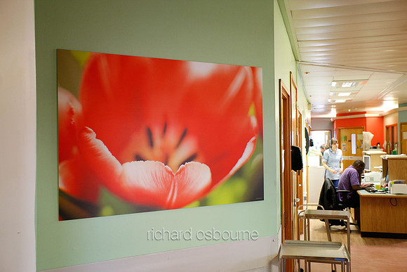 UHSM Wythenshawe Hospital - PhotoPanel, 1350 x 900mm