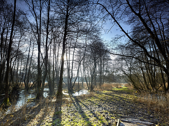 NWT Swangey Fen, Norfolk, UK