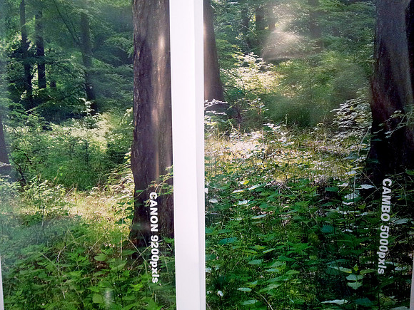 2.5m HIGH PRINTOUTS - PIXEL COUNTS ARE THE VERTICAL SIZE