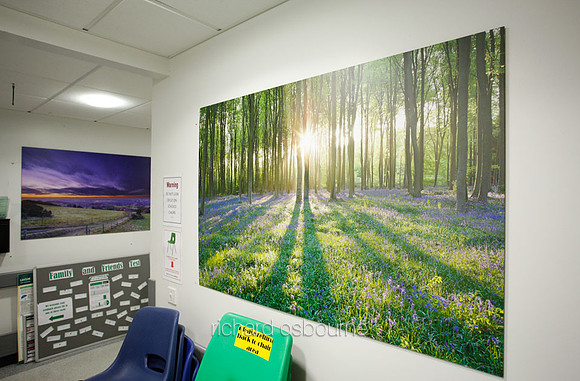 UHSM Wythenshawe Hospital - PhotoPanel, 1350 x 900mm