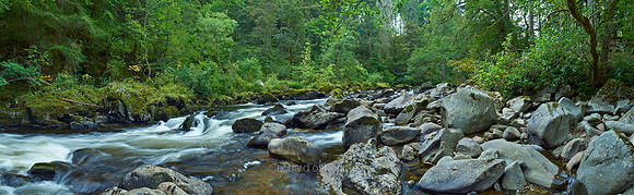 P3W12  River Braan and The Hermitage, Dunkeld, Perthshire, Scotland, UK