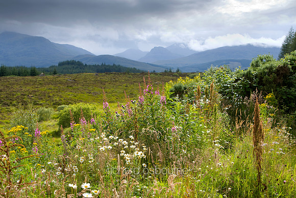 V2S2 Nevis Range