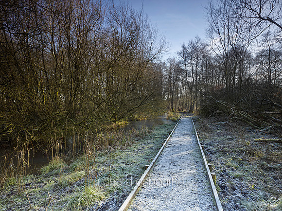 NWT Swangey Fen, Norfolk, UK