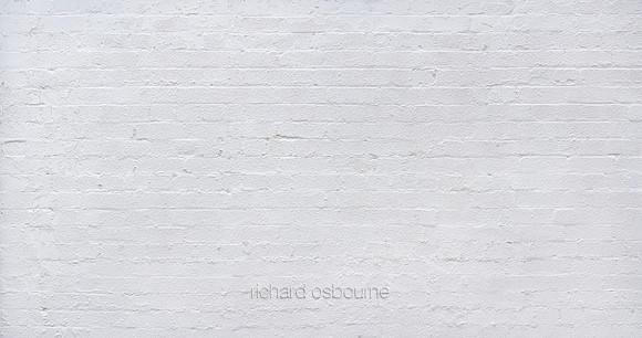 V14T58  Painted Brick Wall