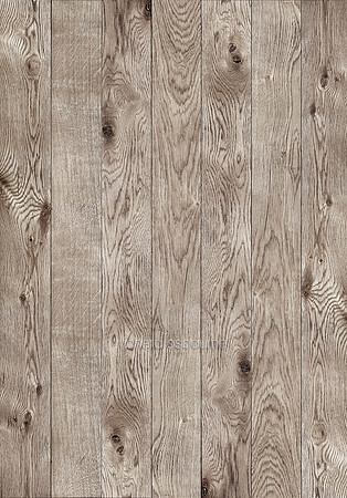 V14T13  Oak Panels