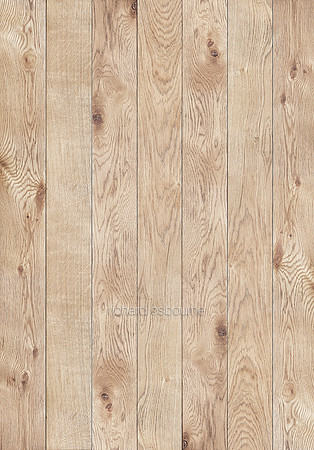 V14T9  Oak Panels