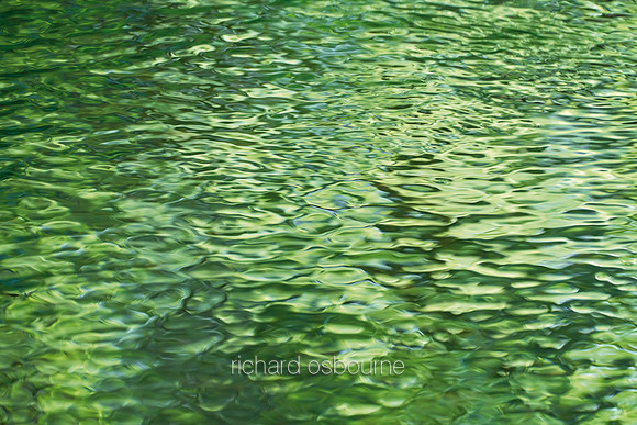 V14T141  Water Reflections