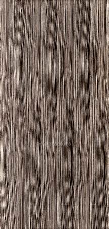 V14T40  Zebrano
