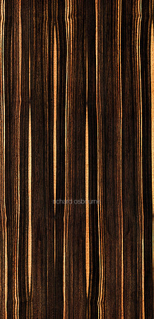 V14T16  Macasser Ebony