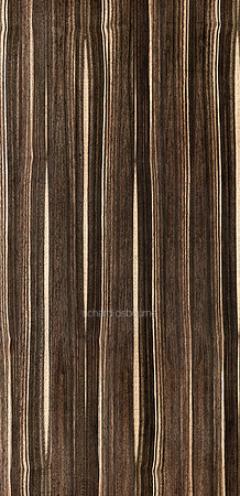 V14T17  Macasser Ebony