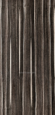 V14T18  Macasser Ebony