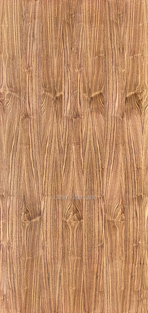 V14T28  Walnut