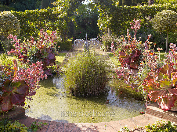 V7G12  East Ruston Old Vicarage Garden, Norfolk, UK