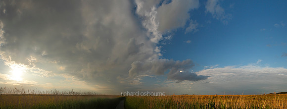 P2L46  NWT Cley Marshes, Norfolk, UK