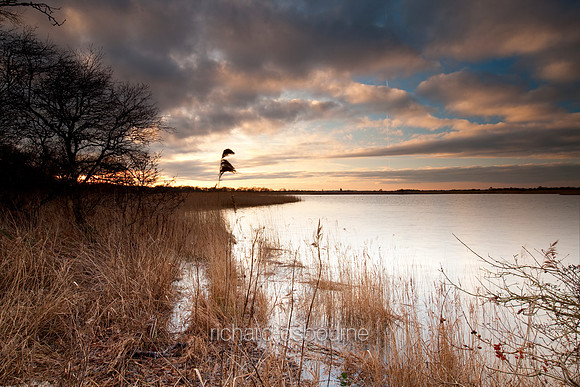 V4N9 Martham Broad I