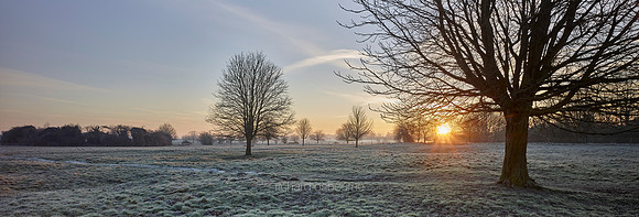 P4L2  NWT New Buckenham Common, Norfolk, UK