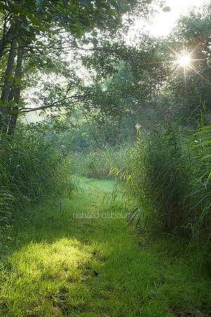 V5N14  Upton Broad and Marshes, Norfolk Broads, UK