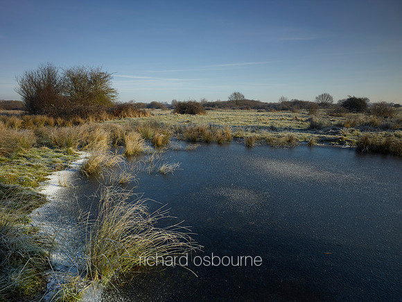 NWT New Buckenham Common, Norfolk, UK