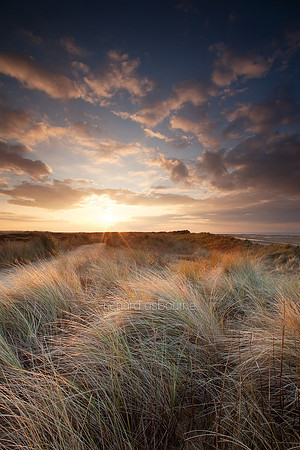L2N2  NWT Holme Dunes, Norfolk, UK