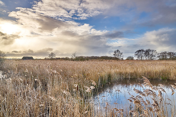 V11N6  NWT Hickling Broad, Norfolk, UK