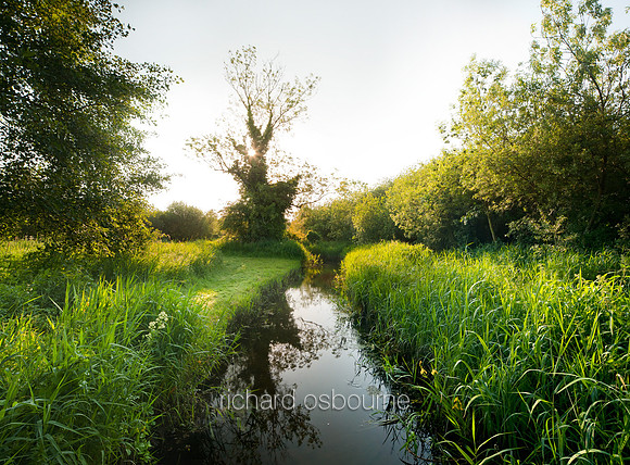 V5N36  Ted Ellis Nature Reserve, Norfolk Broads, UK