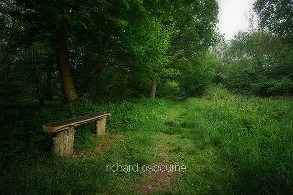 V12F4  Bradfield Woods, Suffolk, UK