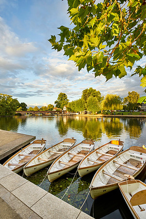 V10C19  River Avon, Stratford-Upon-Avon, Warwickshire, UK