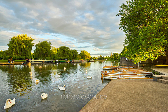 V10C20  River Avon, Stratford-Upon-Avon, Warwickshire, UK