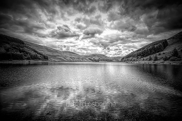V12ML1  Loch Of The Lowes, Dryhope, Scottish Borders, Scotland, UK