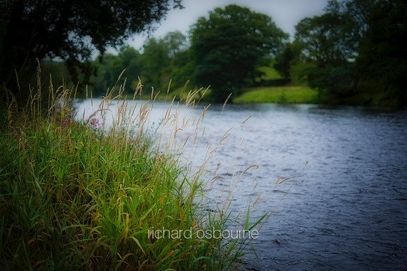 V12L8  River North Tyne, Northumberland, UK