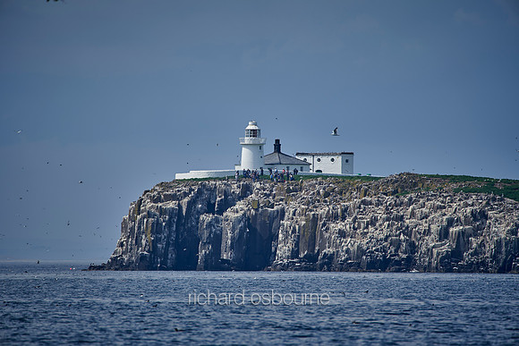 V14L4  Inner Farne Lighthouse, Farne Islands, Northumberland, UK