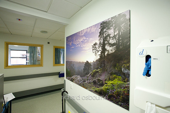 UHSM Wythenshawe Hospital - PhotoPanel, 1350 x 900mm