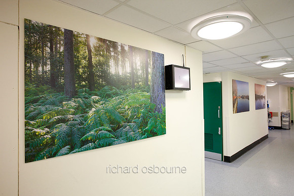 UHSM Wythenshawe Hospital - PhotoPanel, 1350 x 900mm