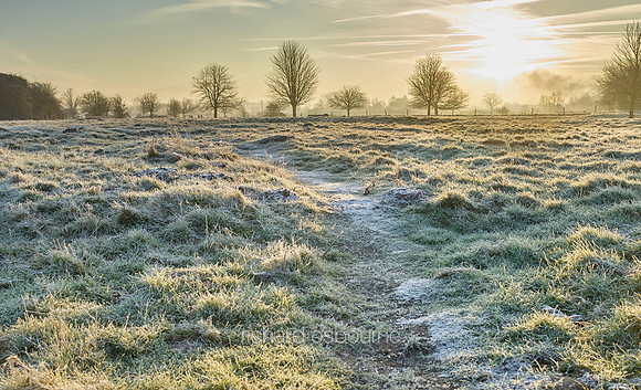 V9N3  NWT New Buckenham Common, Norfolk, UK