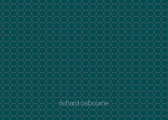 G358 Mallard Hexagon