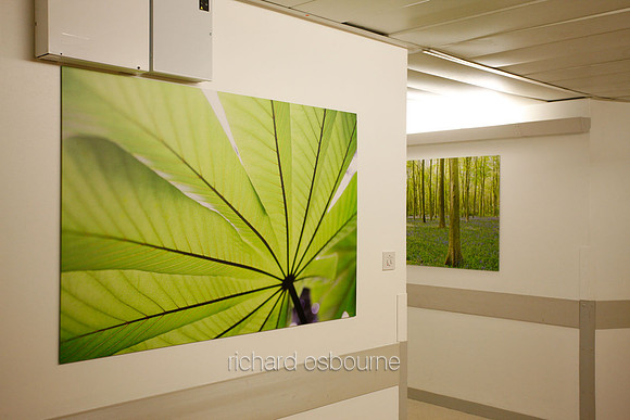 UHSM Wythenshawe Hospital - PhotoPanel, 1350 x 900mm